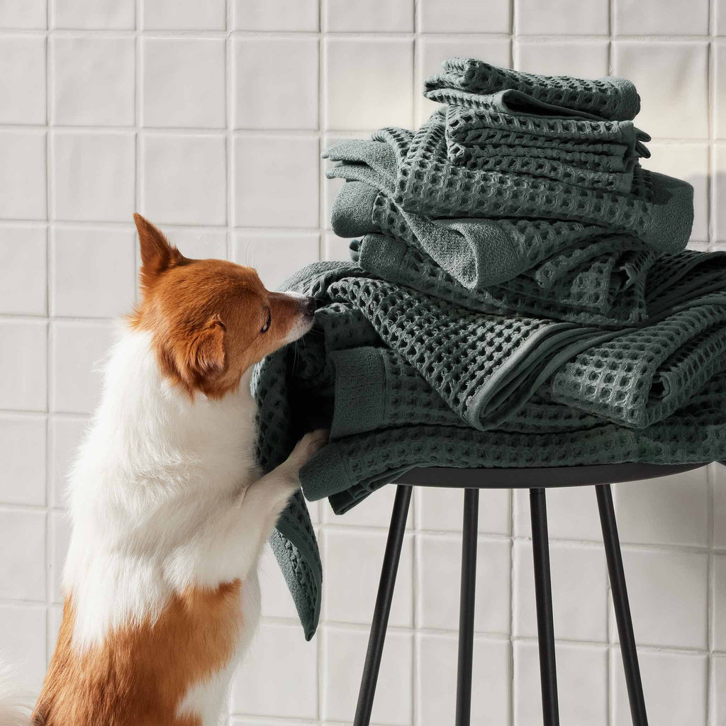 Dreamweave Waffle Bath Towels Set of 2 T4
