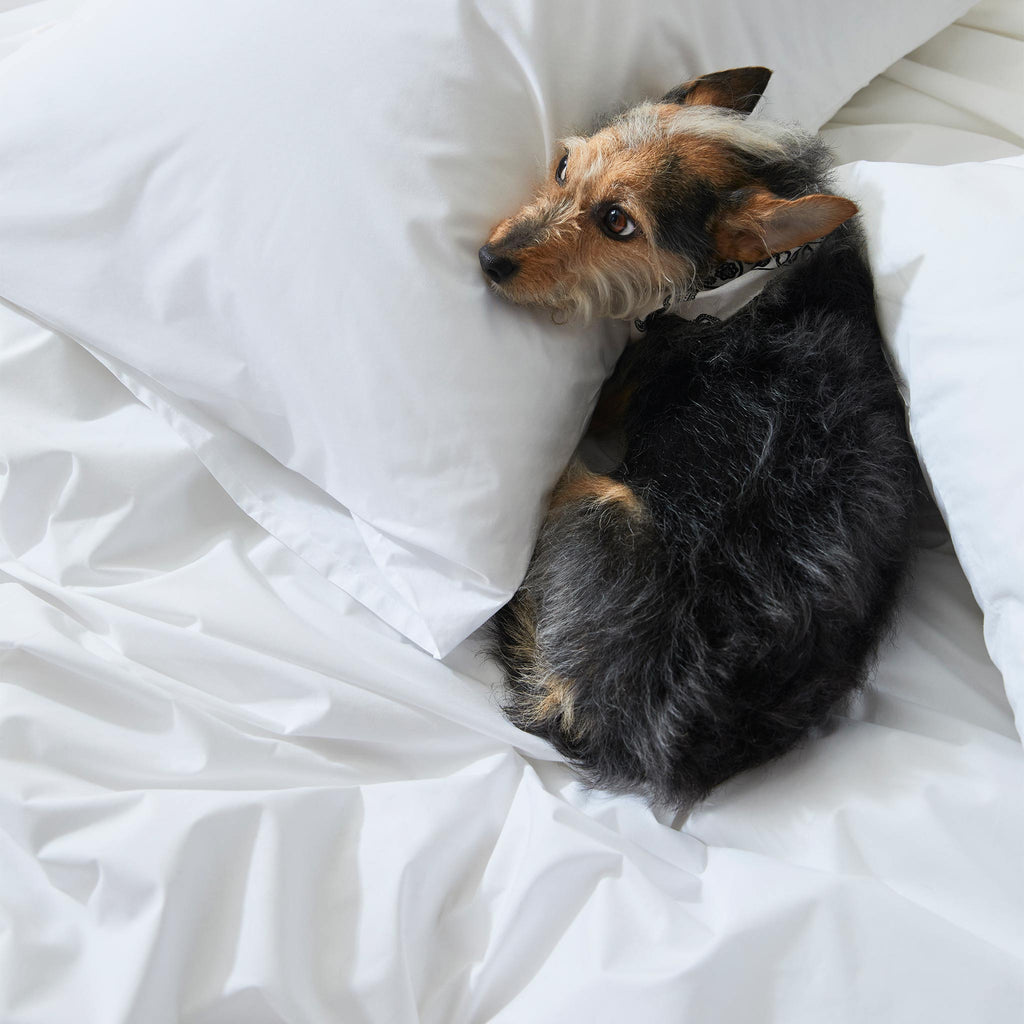 Classic Percale Core Sheet Set K8